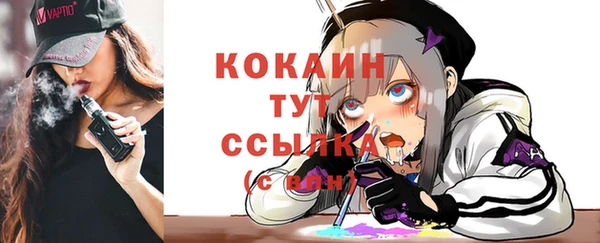 шишки Баксан