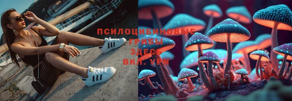 шишки Баксан