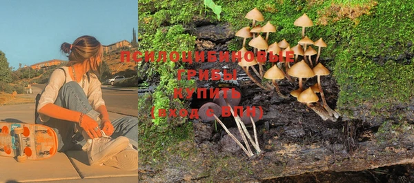 Альфа ПВП Навашино