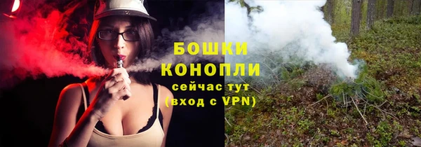 шишки Баксан