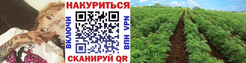 как найти наркотики  Славянск-на-Кубани  Каннабис Amnesia 